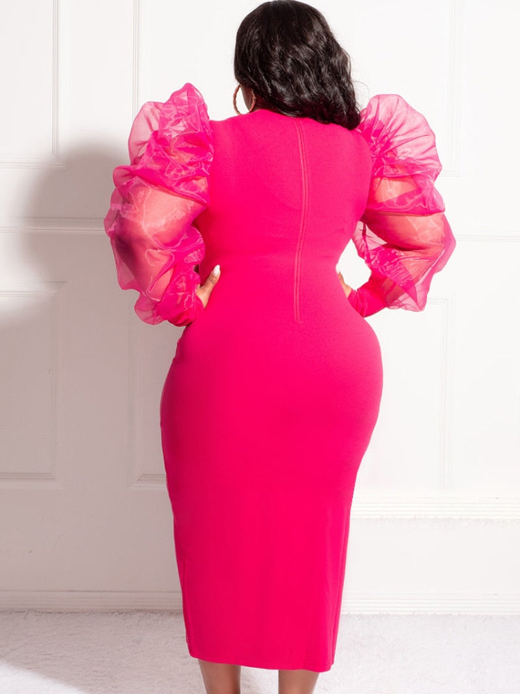 Cora Mesh Lantern Sleeve Dress