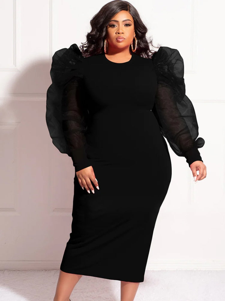 Cora Mesh Lantern Sleeve Dress