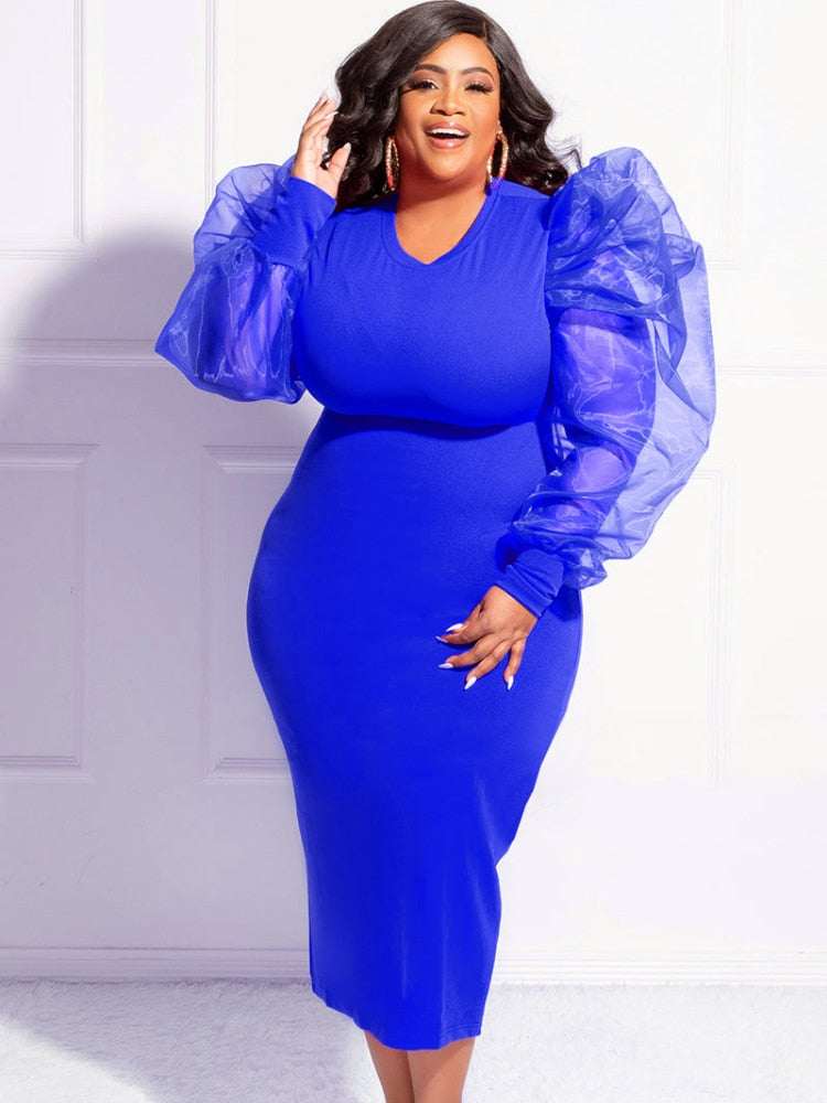 Cora Mesh Lantern Sleeve Dress