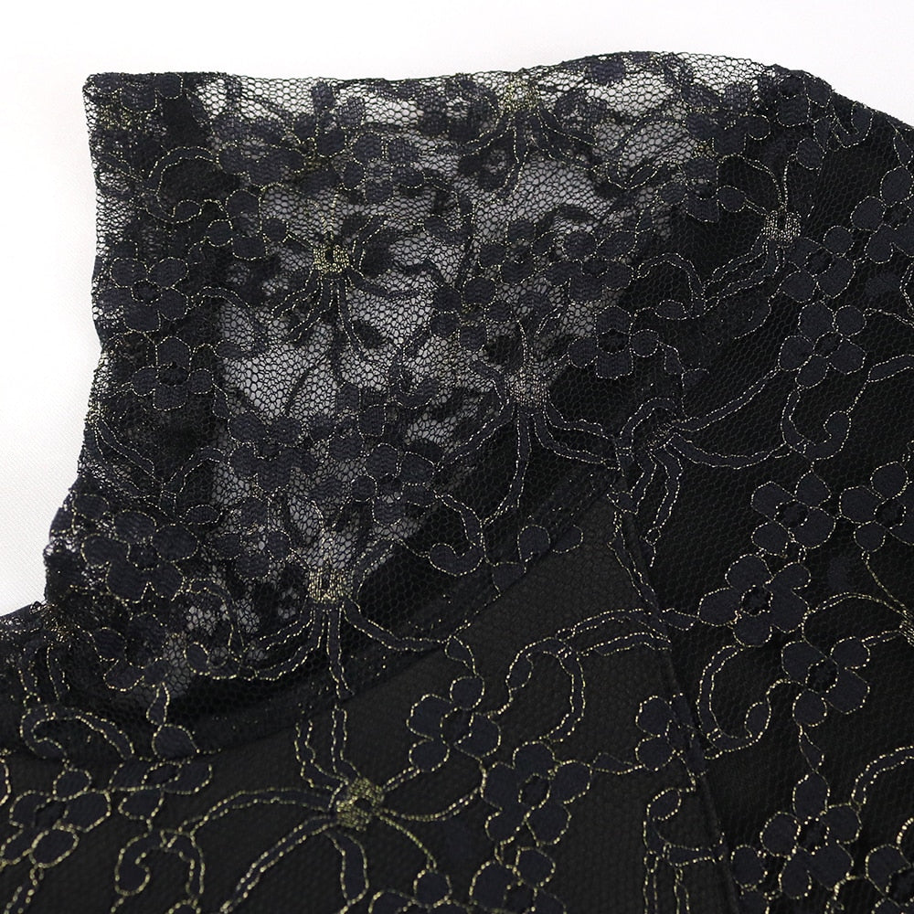 Black Swan Lace Dress
