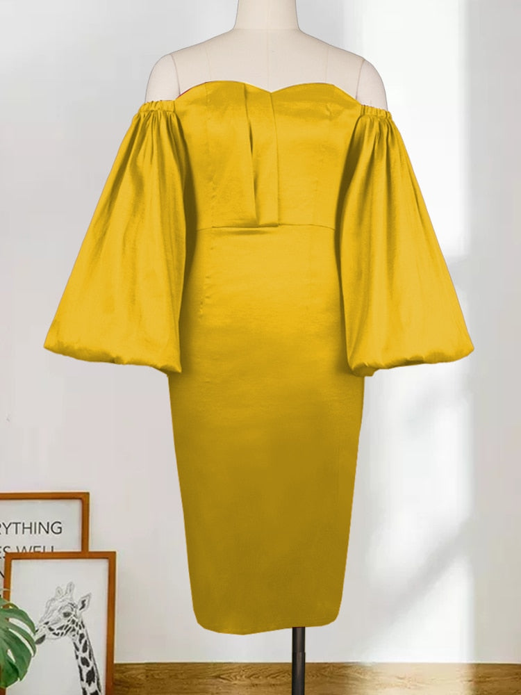 Amara Lantern Sleeve Dress