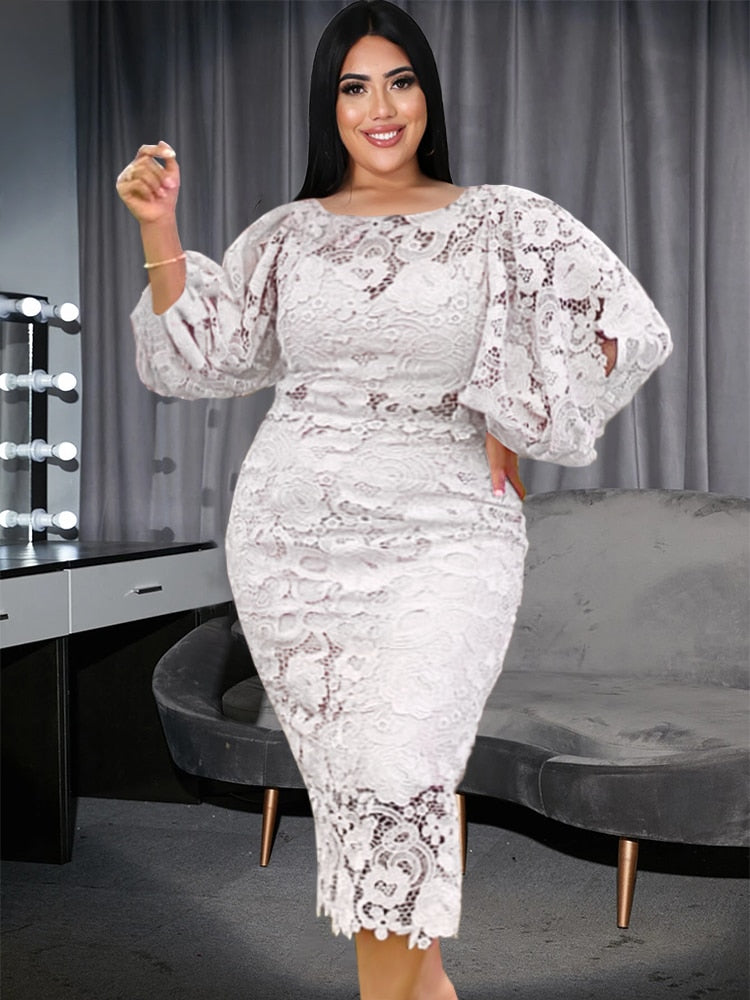 Paluma Floral Lace Dress - White / L