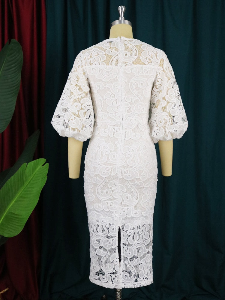 Paluma Floral Lace Dress