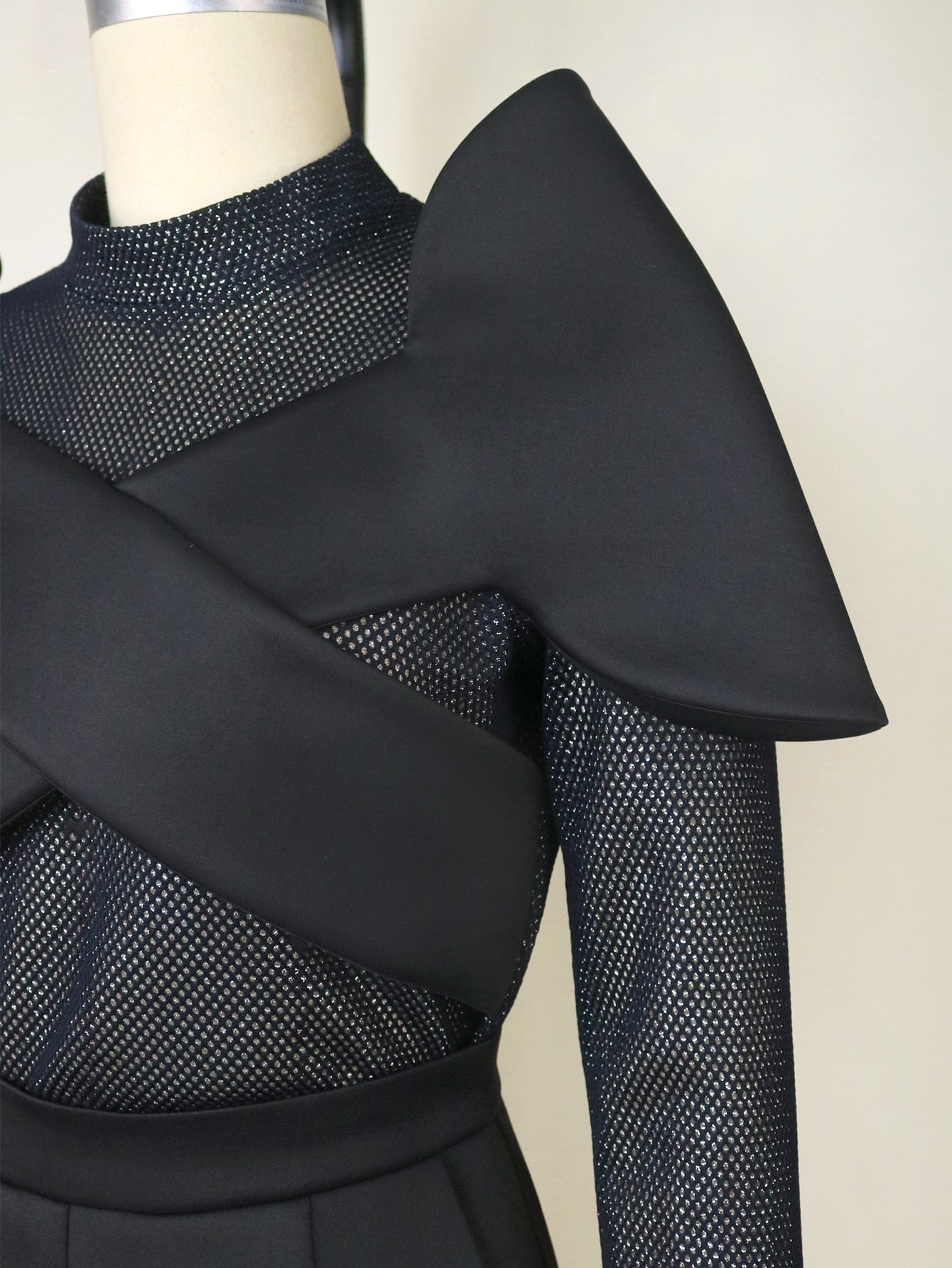 Asha Mesh Two Piece