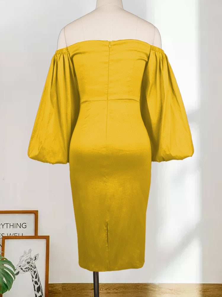 Amara Lantern Sleeve Dress