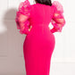 Cora Mesh Lantern Sleeve Dress