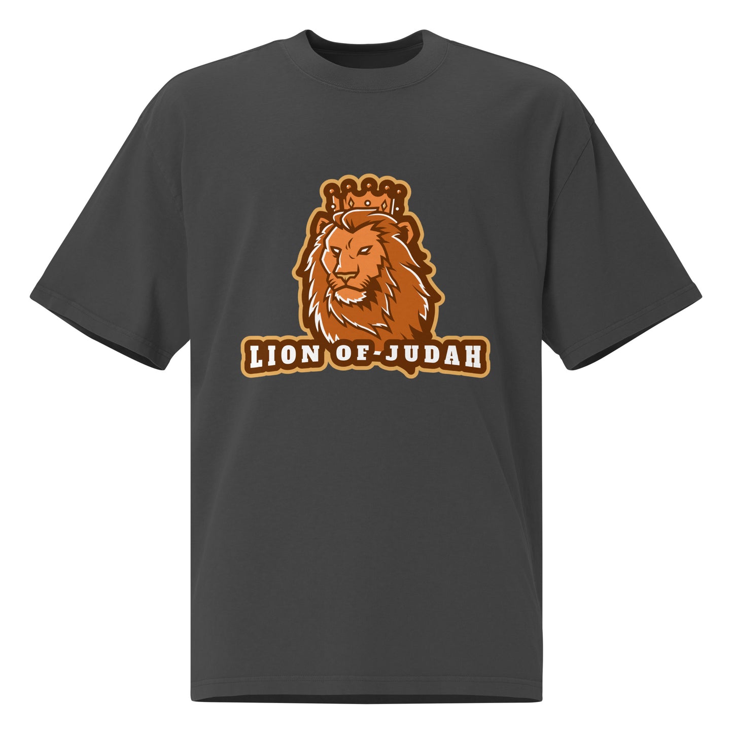 Lion of Judah Oversized faded t-shirt